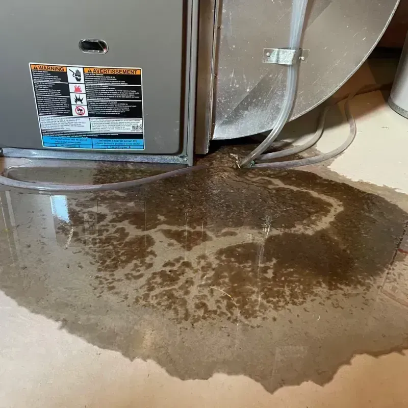 Appliance Leak Cleanup in Clarion, IA